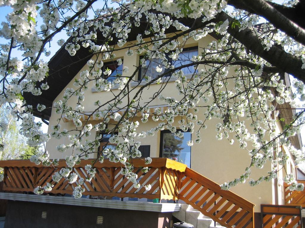St. Michael Apartman Budapesta Exterior foto
